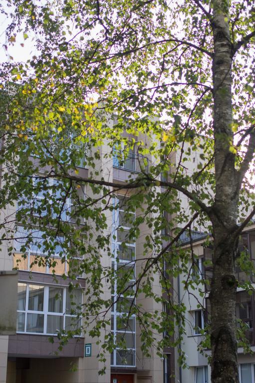 Snow Apartment Druskininkai Luaran gambar