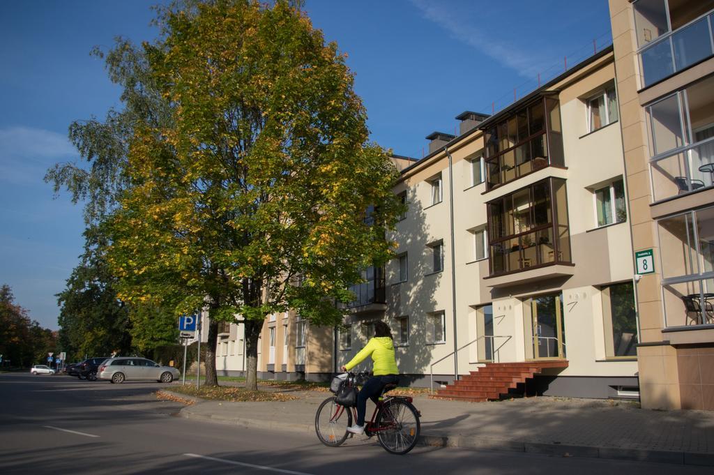 Snow Apartment Druskininkai Luaran gambar